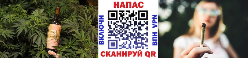 Cannafood конопля  блэк спрут зеркало  Карачаевск 