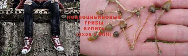 первитин Алексин