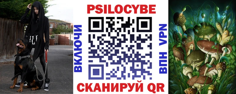 Галлюциногенные грибы прущие грибы  Карачаевск 