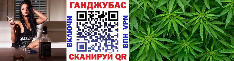 где продают наркотики  Карачаевск  Бошки марихуана план 